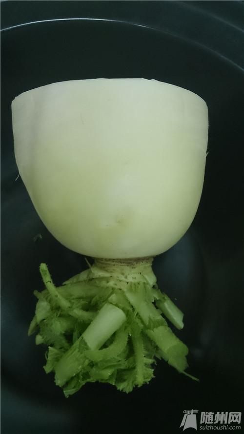 蓮花003.jpg 蓮花003.jpg