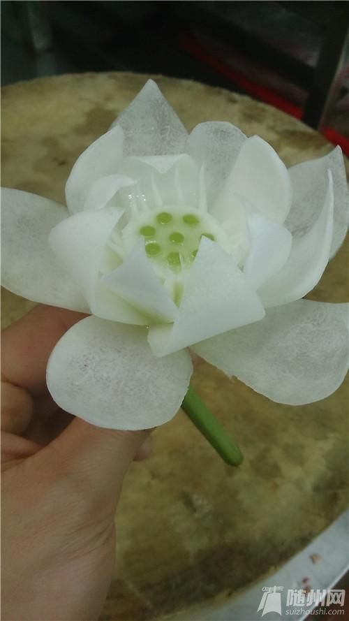 蓮花030.jpg 蓮花030.jpg